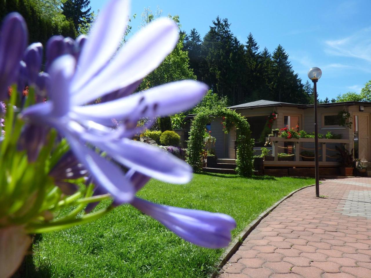 Pension Ayky Jablonec nad Nisou Buitenkant foto